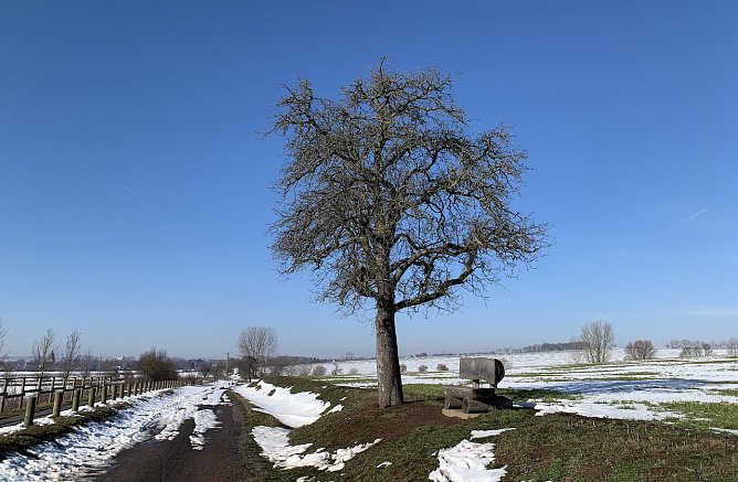 Bei Bielen (Foto: oas) Bei Bielen (Foto: oas)