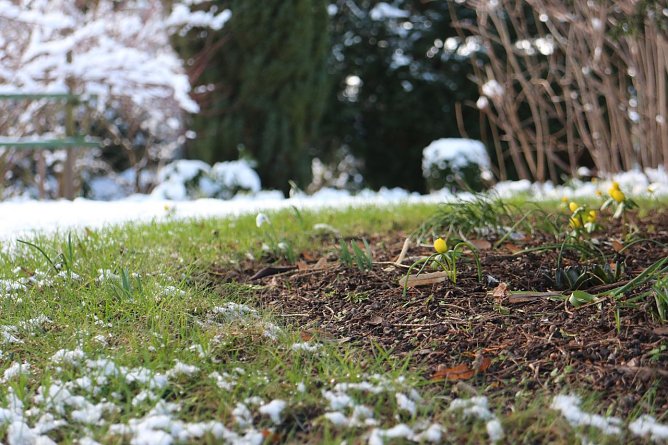 Wetterbild (Foto: agl) Wetterbild (Foto: agl)