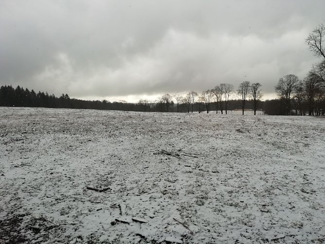 Sophienhof zeigte sich heute morgen noch einmal winterlich (Foto: W. J&ouml;rgens)