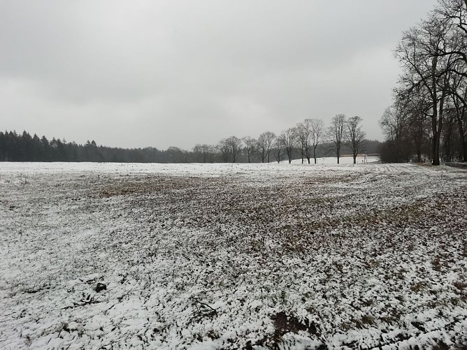 Trüb und frisch war es heute morgen auch in Sophienhof (Foto: W. Jörgens) Trüb und frisch war es heute morgen auch in Sophienhof (Foto: W. Jörgens)