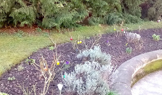 Pflanzaktion im Park Hohenrode durch die Gartenbaufirma August aus Ellrich. (Foto: knk) Pflanzaktion im Park Hohenrode durch die Gartenbaufirma August aus Ellrich. (Foto: knk)