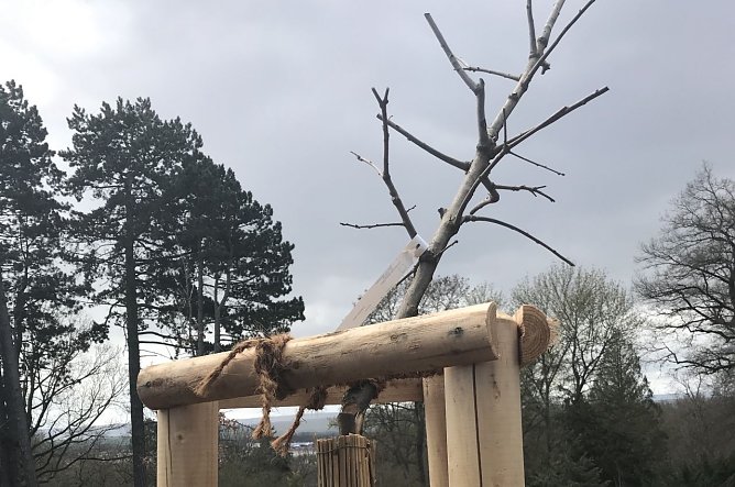Zerst&ouml;rte B&auml;ume im Park Hohenrode (Foto: F&ouml;rderverein Park Hohenrode)