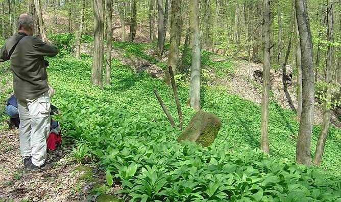 Landschaft (Foto: nnz)