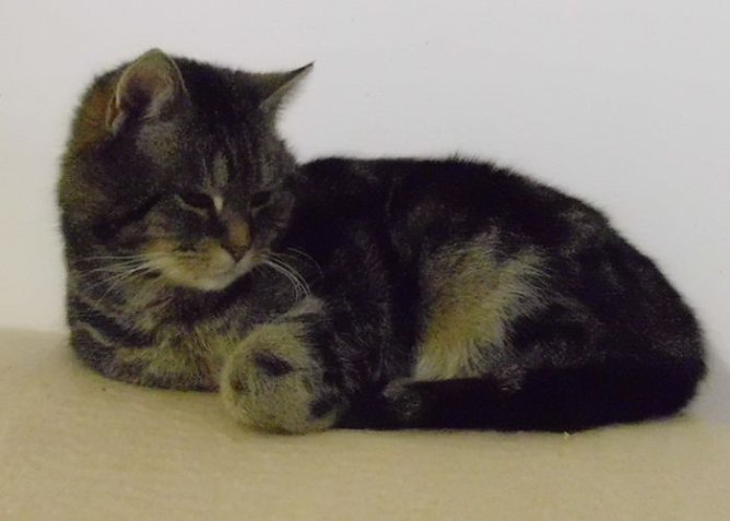 Lisa (Foto: C. Knust)