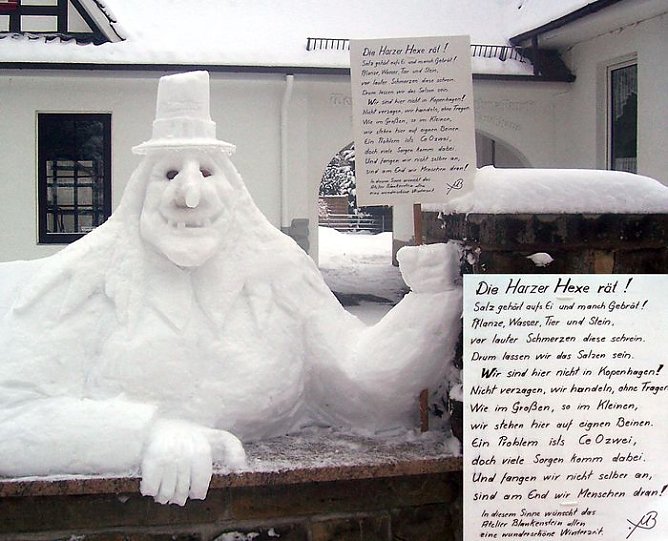 Streusalzhexe (Foto: M. Blankenstein)