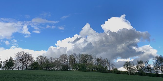 Bei Limlingerode (Foto: oas) Bei Limlingerode (Foto: oas)