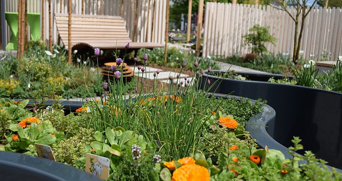 Themengarten auf der BUGA Erfurt  (Foto: Fachverband Garten-, Landschafts- und Sportplatzbau)