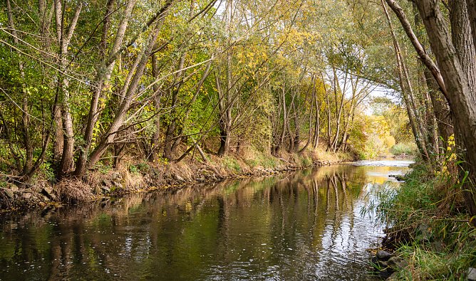 Die Wipper (Foto: Jana Gro&szlig;)