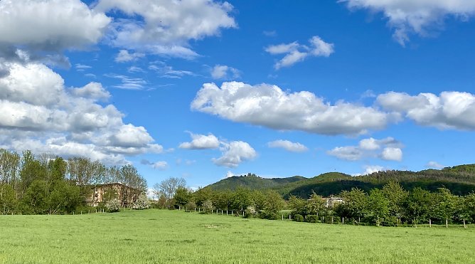 Am Stausee Kelbra (Foto: oas)