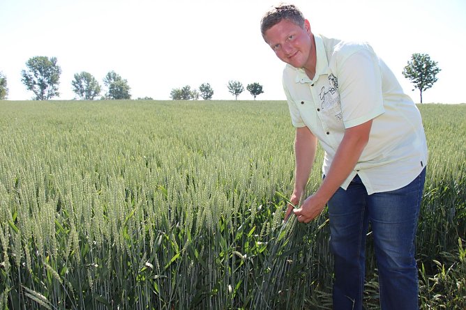 Markus Bertuch auf seinem Versuchsfeld (Foto: agl)