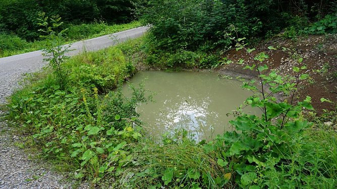 Mit Regenwasser gef&uuml;llte Kleingew&auml;sser entlang von Forstwegen zeigen, dass die Waldniederschlagsbilanz aus Sicht der Forstleute und Waldbesitzenden befriedigend ist (Foto: Th&uuml;ringenForst, Dr. Horst Spro&szlig;mann)
