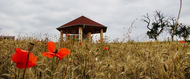 Lädt zum verweilen ein: der neue Info-Pavillon bei Buchholz (Foto: agl) Lädt zum verweilen ein: der neue Info-Pavillon bei Buchholz (Foto: agl)