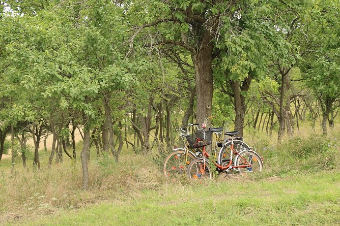 Wetterbild (Foto: agl)