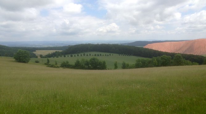 Südharzer Sommerlandschaft (Foto: oas) Südharzer Sommerlandschaft (Foto: oas)