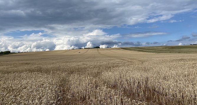 In der Windlücke (Foto: oas) In der Windlücke (Foto: oas)