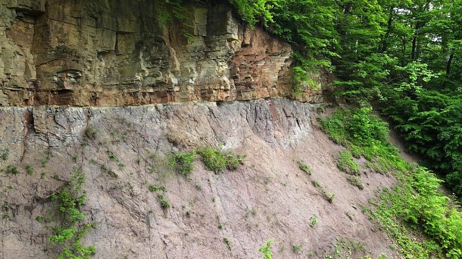 Die "Lange Wand" l&auml;dt zum Tag des Geotops (Foto: Lydia Schubert)
