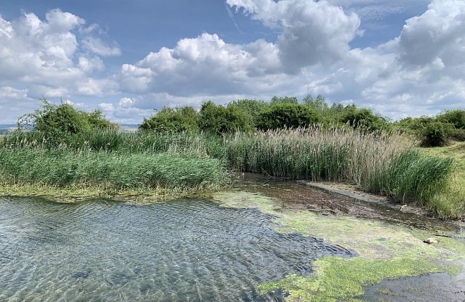 Am Helmestausee bei Kelbra (Foto: oas)