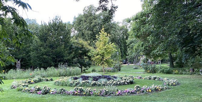 Morgenstimmung im Arboetum Bad Langensalza (Foto: oas) Morgenstimmung im Arboetum Bad Langensalza (Foto: oas)