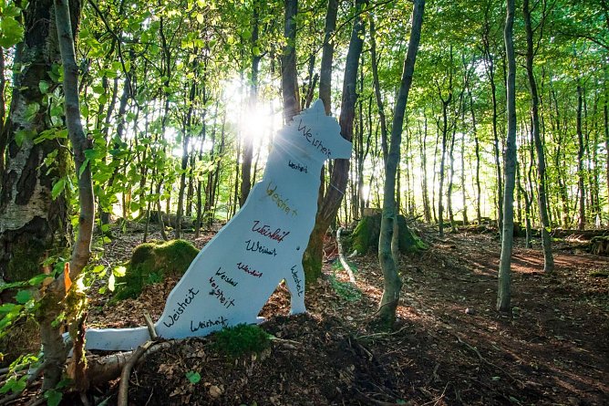 Die Wolfsstation auf dem Naturmythenpfad bei Braunlage l&auml;dt ein, den 'Mythos Wolf' zu erkunden.  (Foto: Thomas Schwerdt)