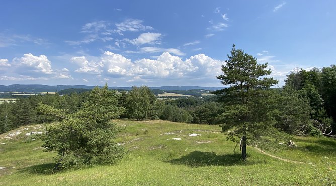 Blick von den Hörninger Klippen (Foto: oas) Blick von den Hörninger Klippen (Foto: oas)