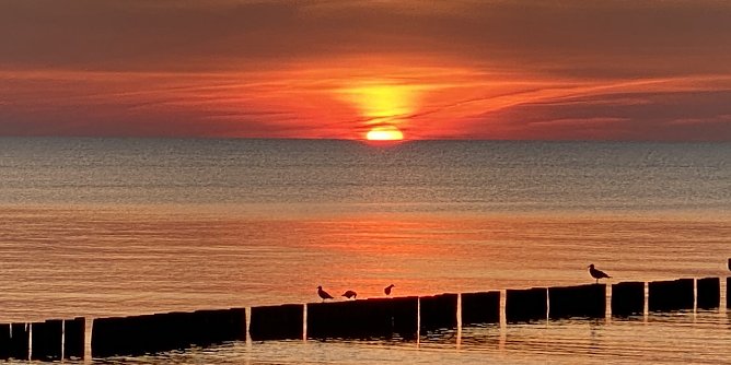 Sonnenuntergang in Wustrow/Fischland (Foto: oas) Sonnenuntergang in Wustrow/Fischland (Foto: oas)