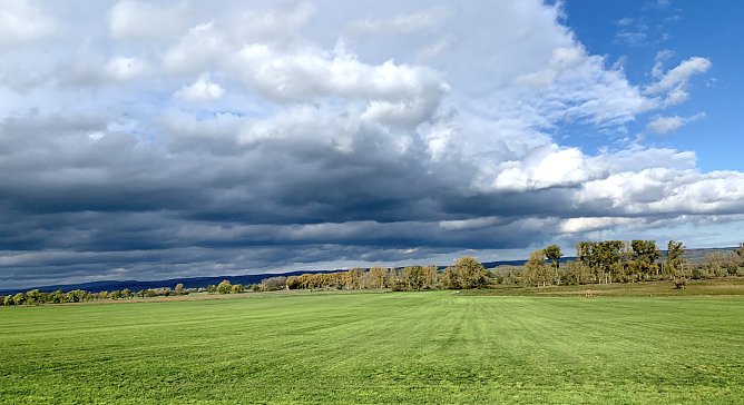 Herbstimpression bei Auleben (Foto: oas)