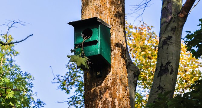 Nistk&auml;sten in Unordnung (Foto: privat)