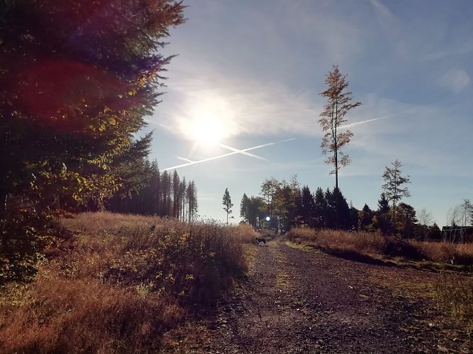 Sonnenstrahlen fallen ins sch&ouml;ne Sophienhof... (Foto: Wolfgang J&uuml;rgens)