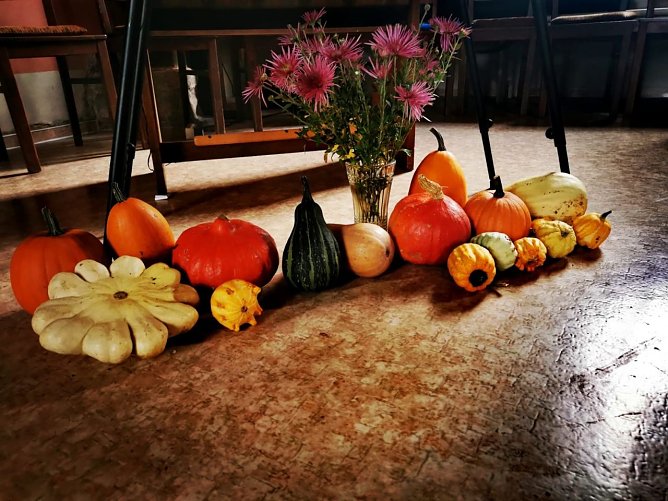 &Uuml;ber ein paar schmackhafte Spenden zum Erntedank freute man sich jetzt beim Jugend-Hostel des Horizont Vereins (Foto: Horizont e.V.)