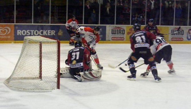 wölfe (Foto: wölfe) wölfe (Foto: wölfe)