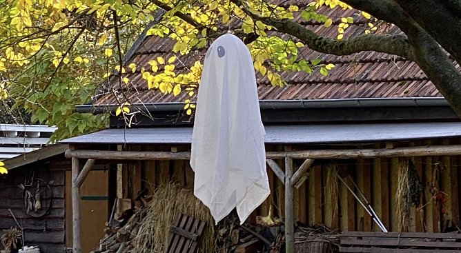 Geister erscheinen an Halloween schon vormittags (Foto: oas) Geister erscheinen an Halloween schon vormittags (Foto: oas)