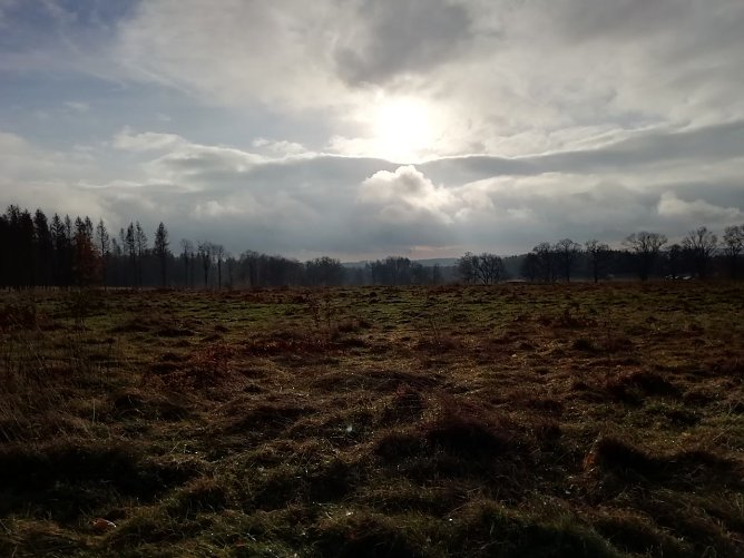 In Sophienhof zeigte sich der Herbst heute auch von seiner sch&ouml;nen Seite (Foto: W. J&ouml;rgens)