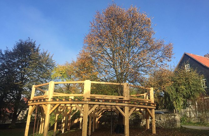 Die Tanzlinde zu Liebenrode (Foto: R.Englert) Die Tanzlinde zu Liebenrode (Foto: R.Englert)