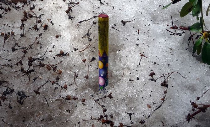 Weg damit (Foto: nnz) Weg damit (Foto: nnz)