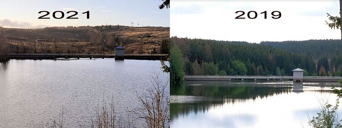 Ein trauriger Harz (Foto: Peter Blei) Ein trauriger Harz (Foto: Peter Blei)