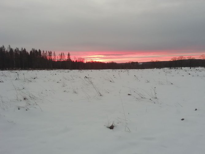 Frostig frisch konnte man heute morgen den Sonnenaufgang in Sophienhof bewundern (Foto: W. Jörgens) Frostig frisch konnte man heute morgen den Sonnenaufgang in Sophienhof bewundern (Foto: W. Jörgens)