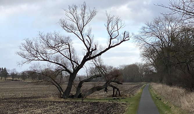 Das stürmische Wetter setzt sich fort (Foto: oas) Das stürmische Wetter setzt sich fort (Foto: oas)