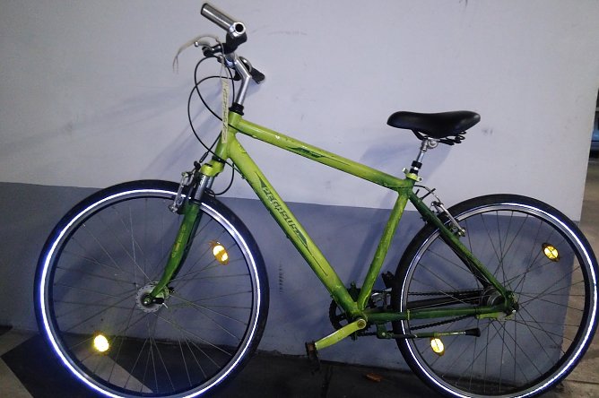 Ein grünes Fahrrad Pegasus wartet auf seinen Besitzer (Foto: Polizei Nordhausen) Ein grünes Fahrrad Pegasus wartet auf seinen Besitzer (Foto: Polizei Nordhausen)
