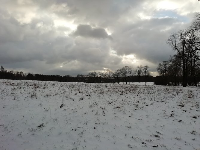 Winterliche Ansichten finden sich weiter nur im Hochland (Foto: W.Jörgens) Winterliche Ansichten finden sich weiter nur im Hochland (Foto: W.Jörgens)