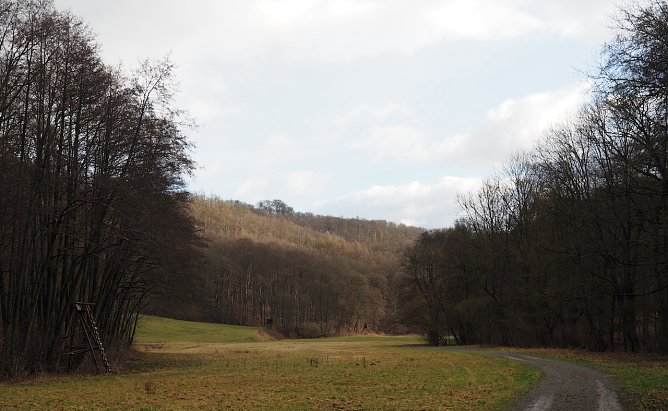 Bei der Ebersburg (Foto: J.Friedling) Bei der Ebersburg (Foto: J.Friedling)