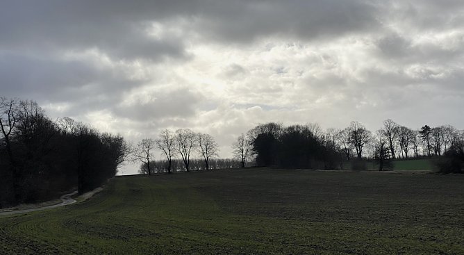 Das Schmuddelwetter bleibt uns erhalten (Foto: oas) Das Schmuddelwetter bleibt uns erhalten (Foto: oas)