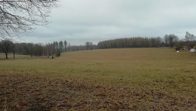 Auch der Hochharz ist bei 2 Grad wieder schneefrei (Foto: W.J&ouml;rgens)