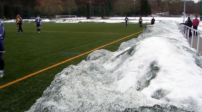 Wacker (Foto: K. Verkouter)