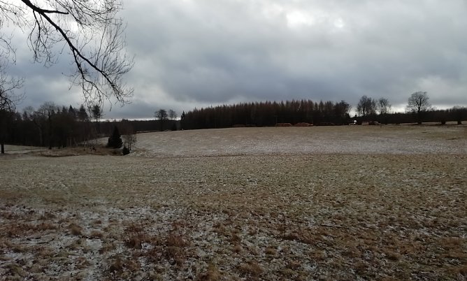 Stürmische Winde bei null Grad heute Morgen im oberen Harz (Foto: W.Jörgens) Stürmische Winde bei null Grad heute Morgen im oberen Harz (Foto: W.Jörgens)