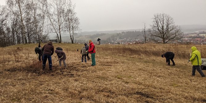 Arbeitseinsatz auf dem Mühlberg (Foto: LPV) Arbeitseinsatz auf dem Mühlberg (Foto: LPV)