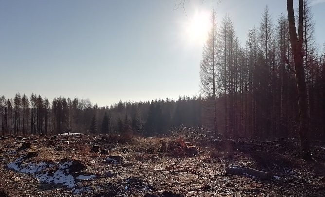 Frostige minus 7 Grad herrschten heute auf den H&ouml;hen des Harzes. Jetzt strahlt hier die Sonne (Foto: W.J&ouml;rgens)