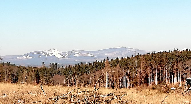 Die Sophienh&ouml;fer k&ouml;nnen jetzt jeden Tag den Brocken sehen. (Foto: W.J&ouml;rgens)