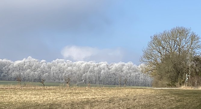 Nachts bleibt's frostig, tags&uuml;ber sch&ouml;n (Foto: oas)