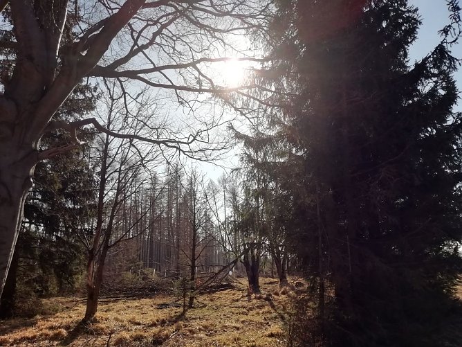 Auch in Sophienhof begl&uuml;ckte heute die Fr&uuml;hlingssonne das Gem&uuml;t (Foto: W. J&ouml;rgens)