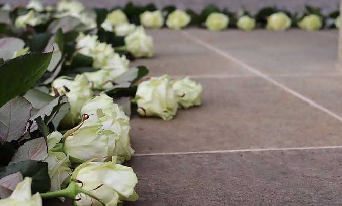 Wei&szlig;e Rosen zum Gedenken an die Opfer der Bombardierungen (Foto: Stadtverwaltung Nordhausen)